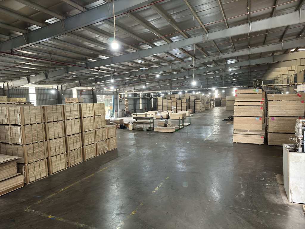 Plywood Manufacturing Plant