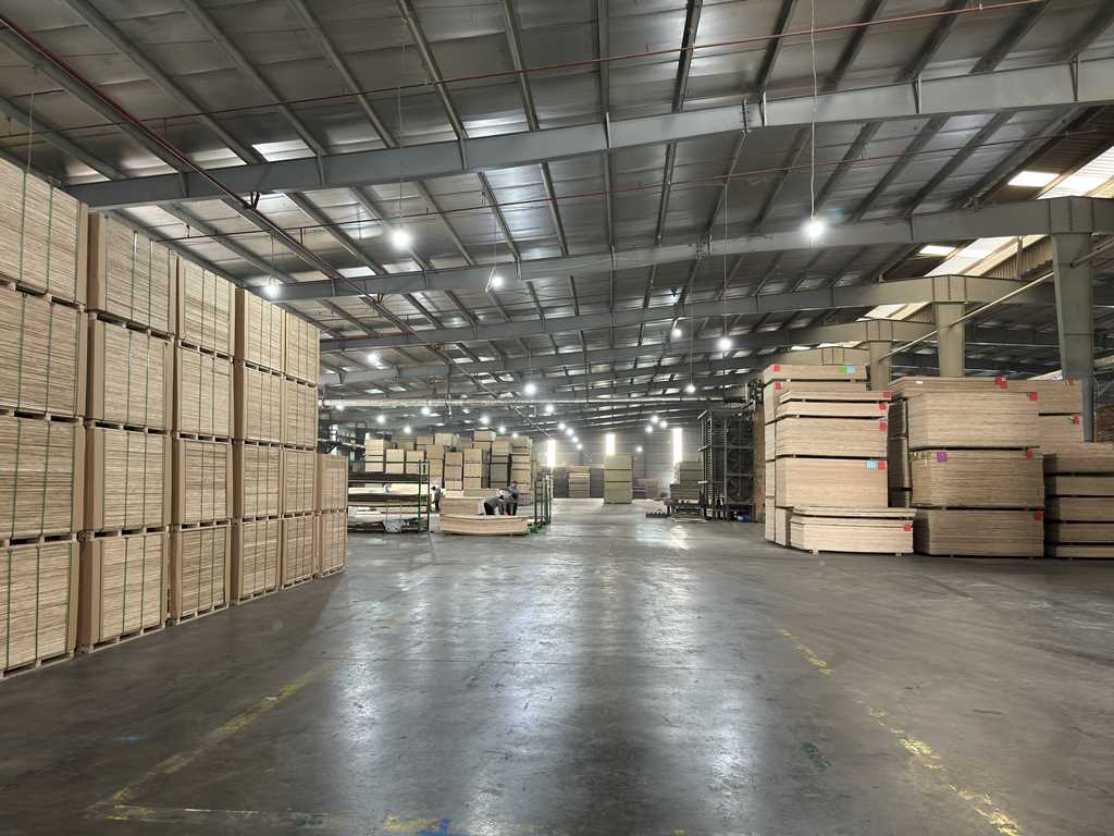 Plywood Manufacturing Plant