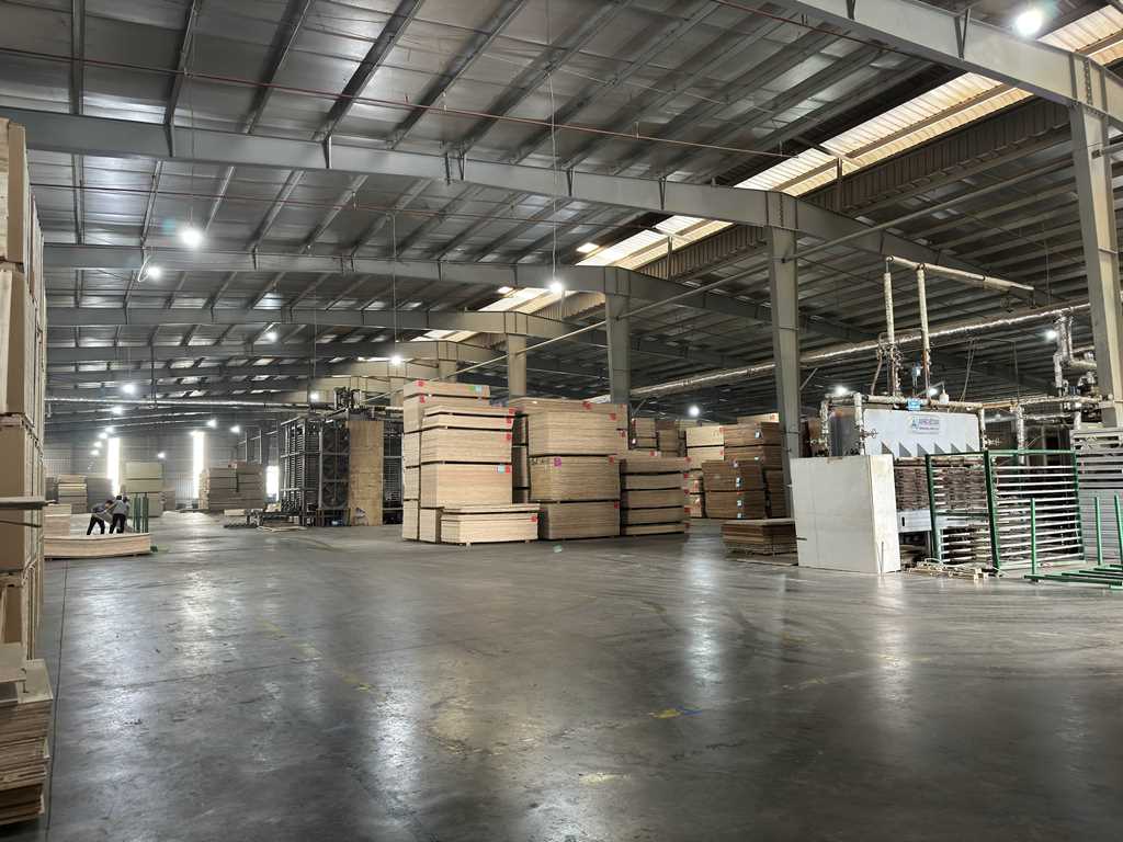 Plywood Manufacturing Plant