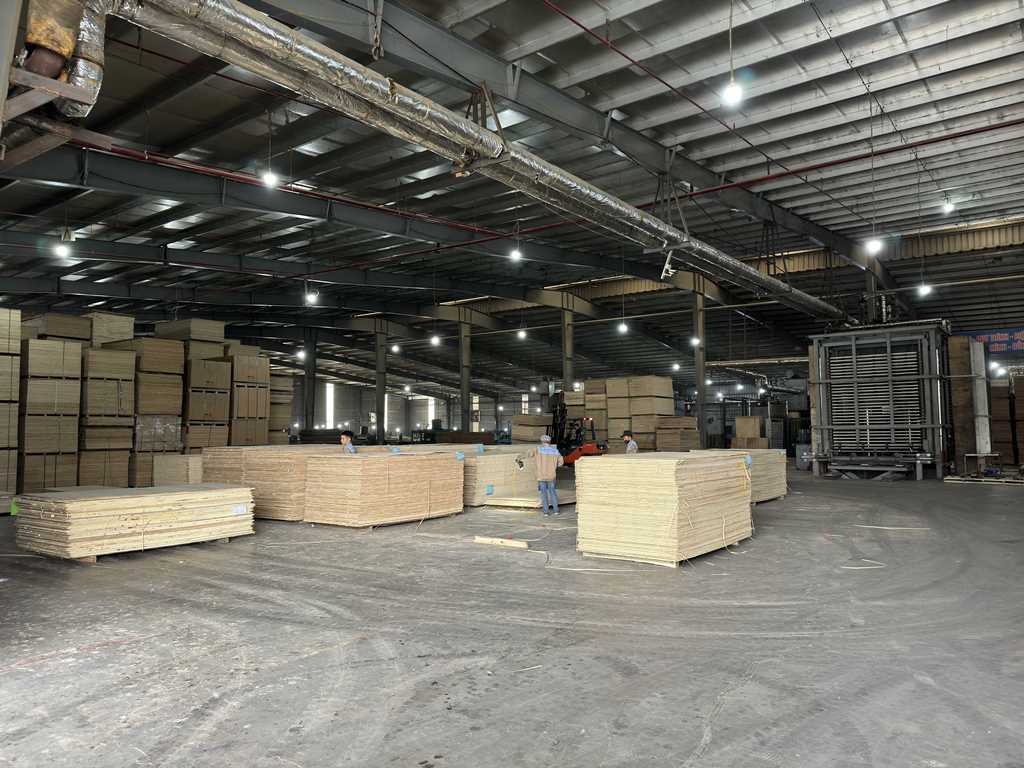 Plywood Manufacturing Plant