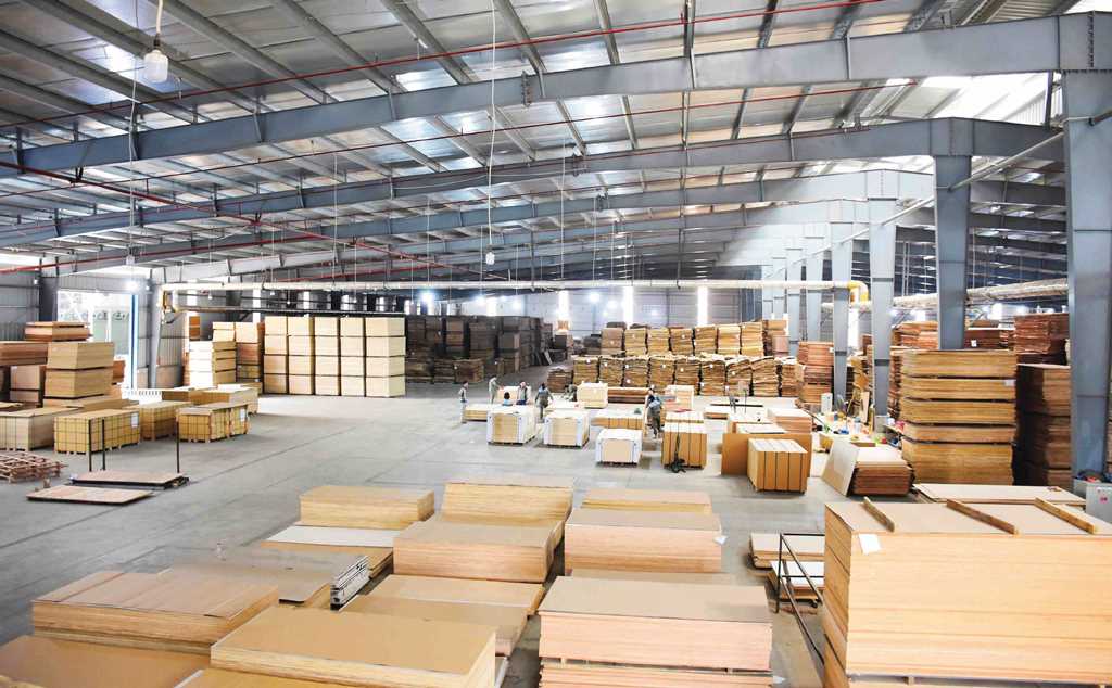 Plywood Manufacturing Plant